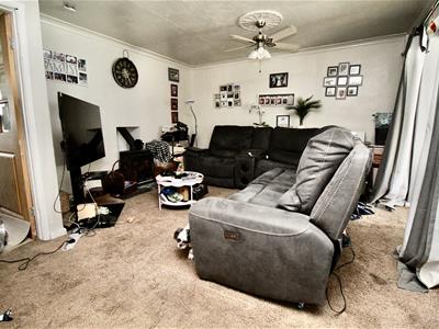 Picture 13
